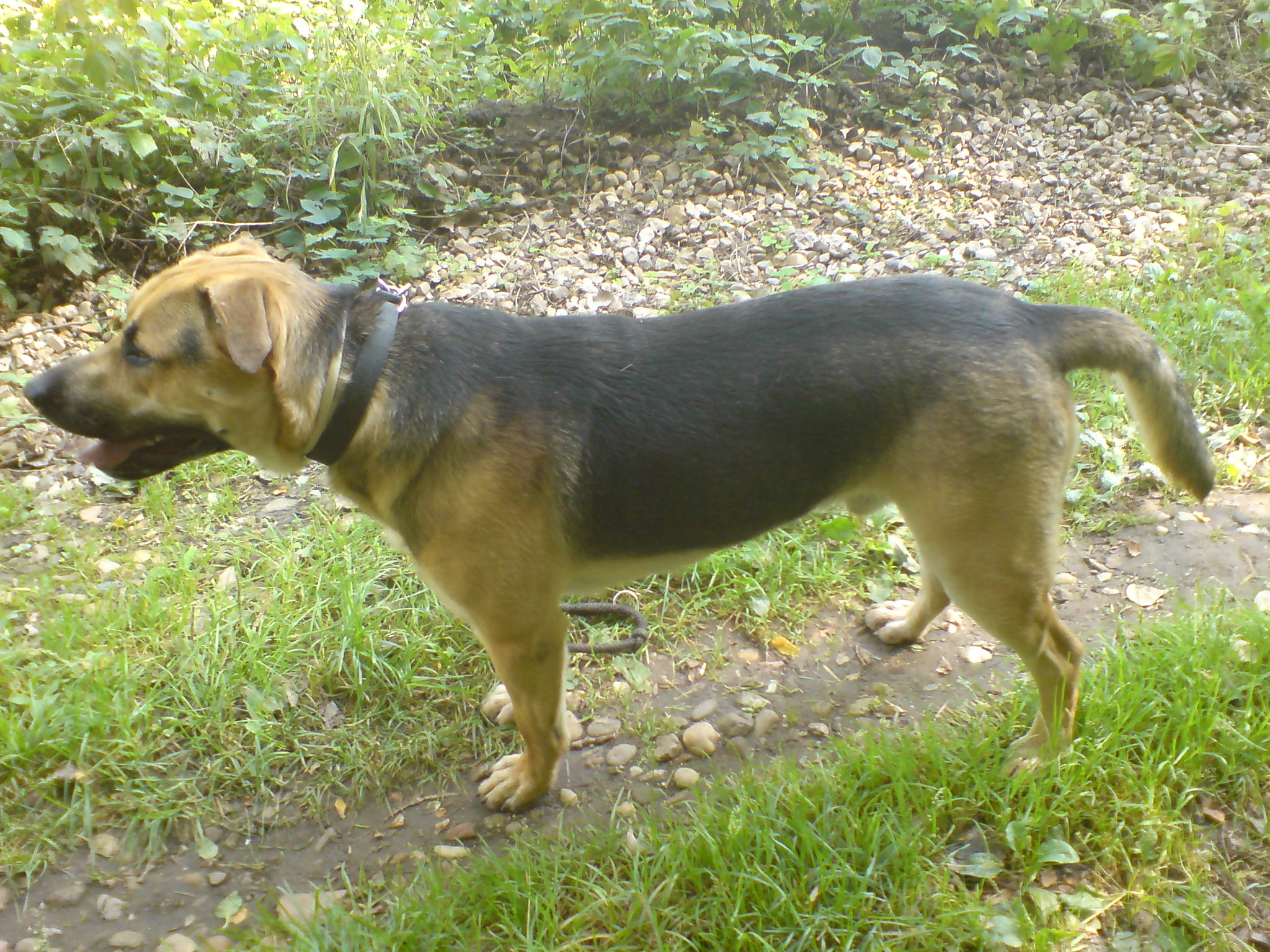 DSC00331.JPG