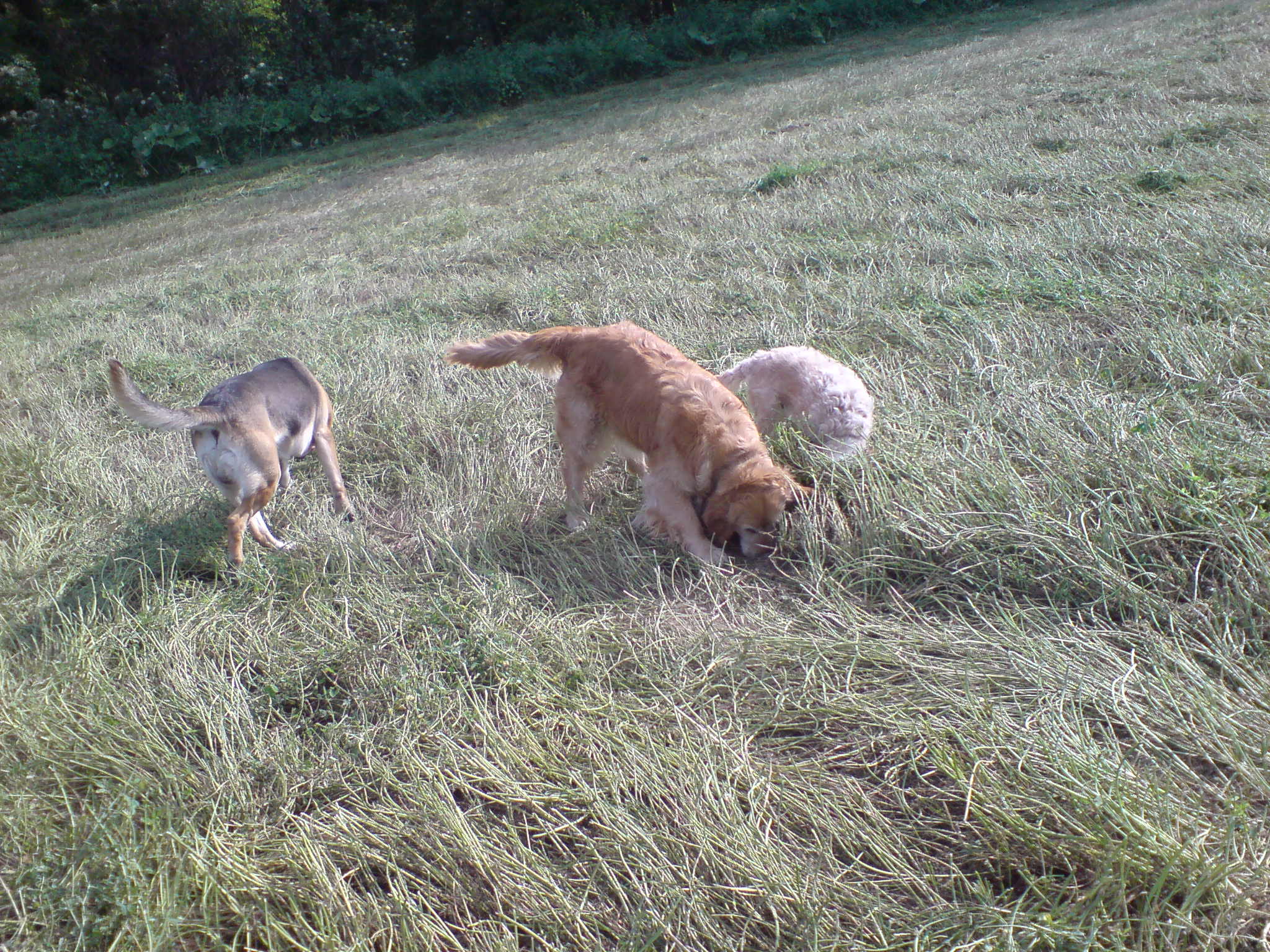DSC00774.JPG