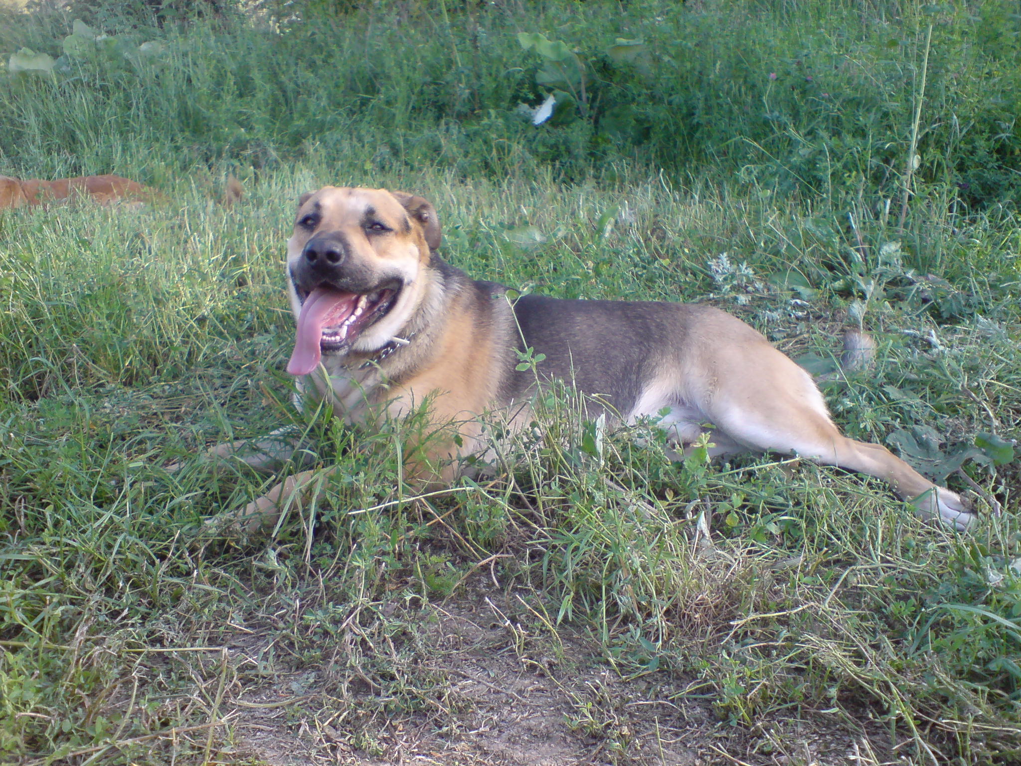 DSC00777.JPG